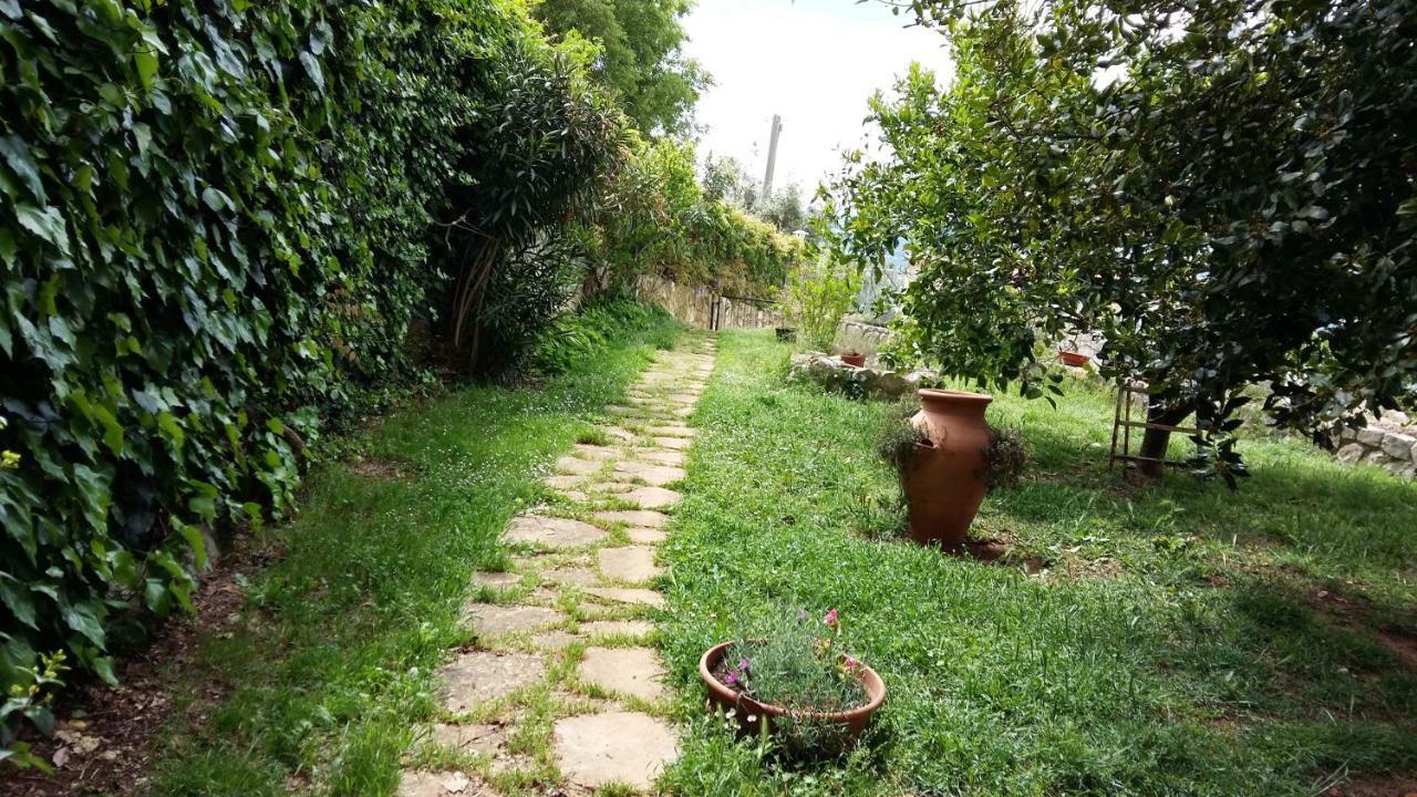 B&B La Vecchia Scuola Sonnino Exterior photo